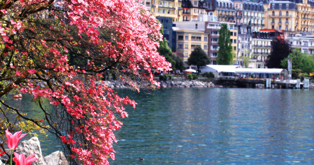 cities of swiss